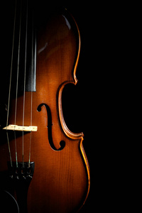 大提琴 美丽的 轮廓 古董 旋律 好的 爱好 复古的 和谐
