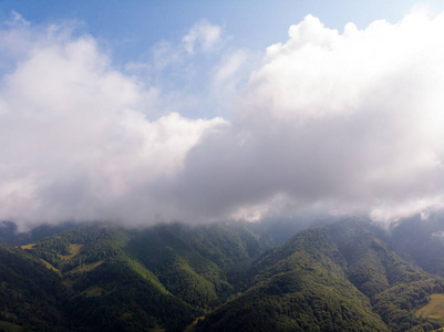 自然 旅游业 森林 旅行 山谷 全景图 夏天 小山 风景