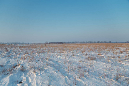 十二月 白霜 天空 雪堆 场景 季节 冻结 冬天 天气 漂流