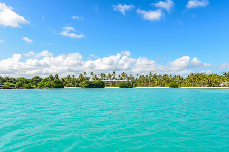 天空 马尔代夫 热带 椰子 棕榈 热的 海滩 植物 海湾