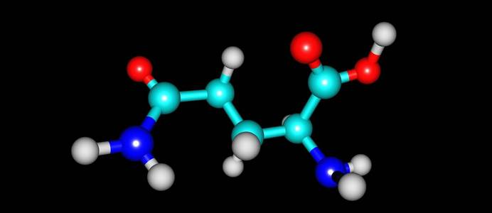 科学 医学 酸的 插图 公式 蛋白质 化学 要素 谷氨酰胺