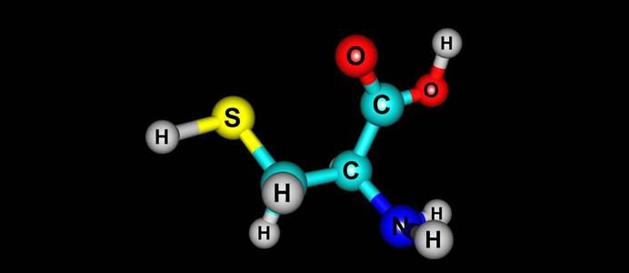硫黄 胶原蛋白 中青旅 原子 化学 胱氨酸 角蛋白 半胱氨酸