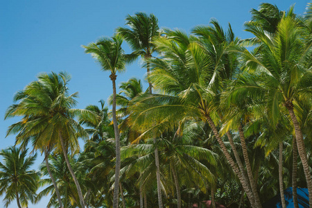 海洋 植物 泻湖 假期 美丽的 夏天 热的 天空 太阳 风景