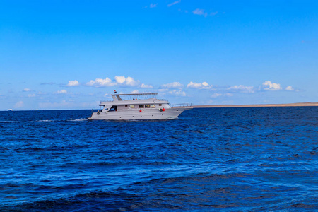 浮潜 夏天 暗礁 天空 海岸 移动 娱乐 非洲 放松 埃及