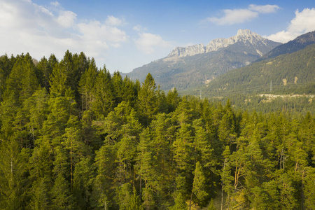 全景图 全景 场景 小山 阿尔卑斯山 欧洲 公园 乡村 旅游业