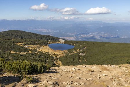 灌木 班斯科 登山 旅游业 生物圈 保加利亚 环境 夏天