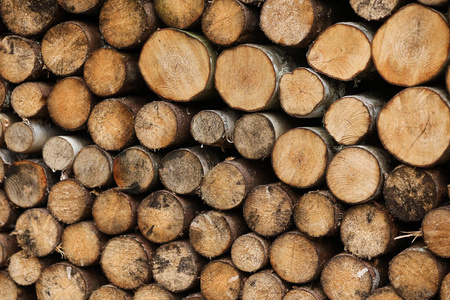 木桩 树皮 树干 纹理 自然 特写镜头 堆栈 原木 行业