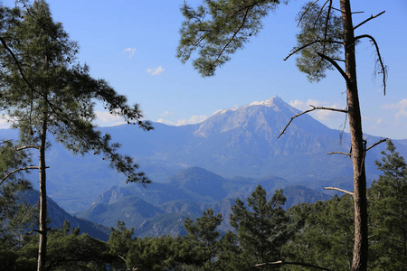 火鸡 冒险 公园 自然 美丽的 天空 岩石 国家的 枸杞