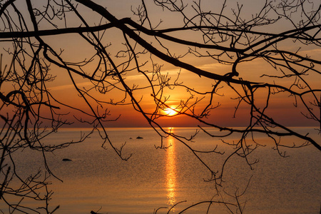 波罗的海清晨日出。