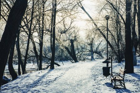 森林 旅行 风景 暴风雪 天气 圣诞节 旅游业 建筑 冬天