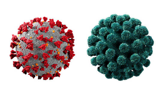 冠状病毒细胞或细菌分子的特写镜头.流感,显微镜下的病毒,传染病.