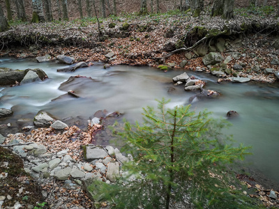 秋天 苔藓 石头 落下 夏天 自然 瀑布 春天 小溪 美丽的
