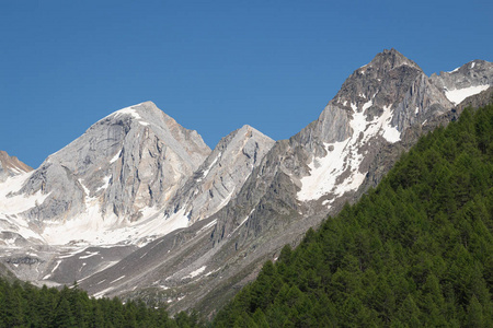 旅游业 冰川 全景 森林 欧洲 夏天 山谷 南蒂罗尔 风景