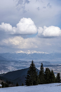 针叶树 登山 森林 国家 土地 山谷 轮廓 旅游业 风景