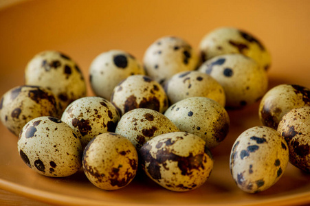 食物 饮食 产品 木材 特写镜头 蛋白质 熟食店 鹌鹑 蛋壳