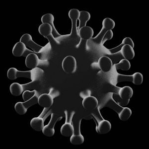 病毒 微生物学 科学 危险 流行病 非典 三维 大流行 医学