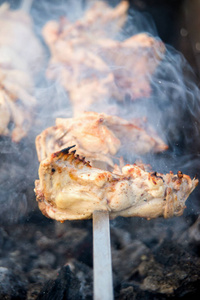 木炭 火焰 烧烤的 烤的 野餐 野炊 猪肉 油炸 自制 热的
