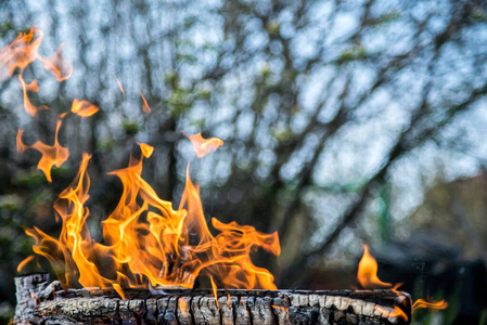 能量 燃烧 阴燃 热的 壁炉 易燃 纹理 自然 烧烤 发光