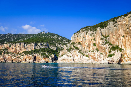 旅行 意大利 美丽的 波动 地中海 富力 海洋 公园 风景