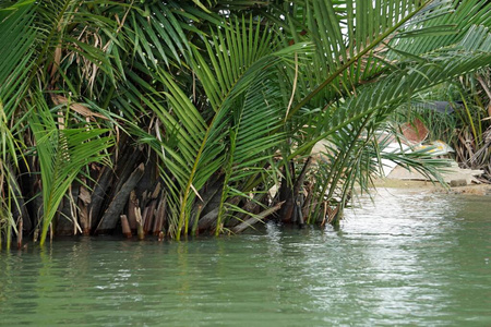 绿松石 旅行 自然 美丽的 海岸 越南 美女 假期 外部