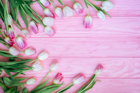 复活节 作文 木材 复制空间 郁金香 粉红色 假日 框架