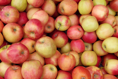 水果 农业 苹果 食物 甜的 秋天 收获 素食主义者 美味的