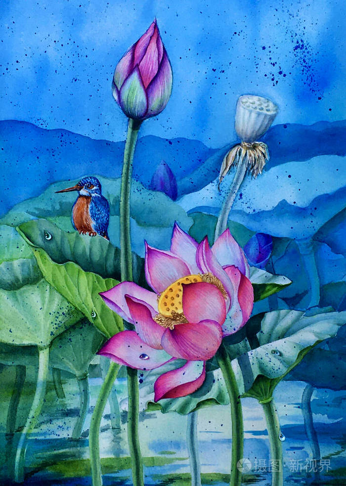 一只翠鸟栖息在盛开的荷叶上的水彩插图背景是绿叶和蓝天
