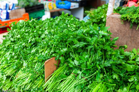 新鲜欧芹的分支图片