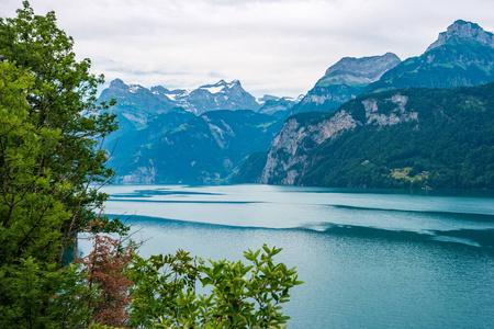 瑞士 欧洲 草地 森林 海岸 阿尔卑斯山 美丽的 小山 山谷