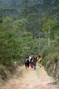 美丽的 旅行者 自然 冒险 夏天 活动 旅游业 风景 环境