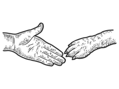 手图片黑白和人和狗握手.草图草稿板模仿.黑白相间.照片