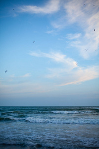 海洋 波动 美丽的 风景 夏天 美女 地平线 反射 天空