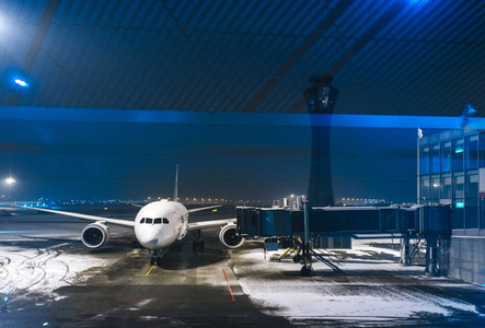 飞机 停车 签证 旅游业 航班 运输 疏散 驾驶舱 机场