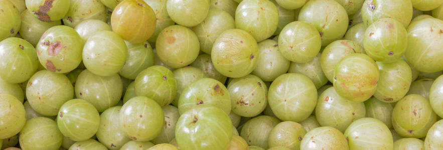 全景图成熟有机印度醋栗背景俯视图照片