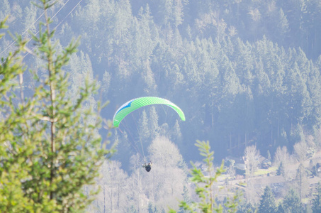 美国华盛顿老虎山的浅自由度滑翔伞和常绿景观