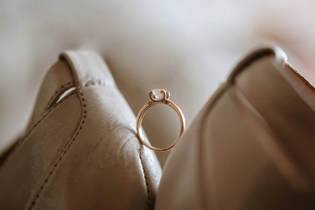 开花 周年纪念日 自然 结婚 花园 戒指 宝石 圆圈 庆祝
