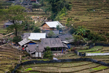 房子 越南 风景 草地 乡村 村庄 农民 农业 农舍 农场