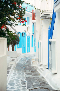 旅游业 街道 村庄 和声 希腊语 商店 旅行 目的地 假期