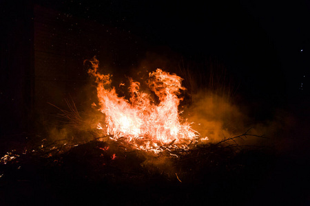 火炬 股份 照片 森林 能量 火焰 灰烬 纹理 纵火 木柴
