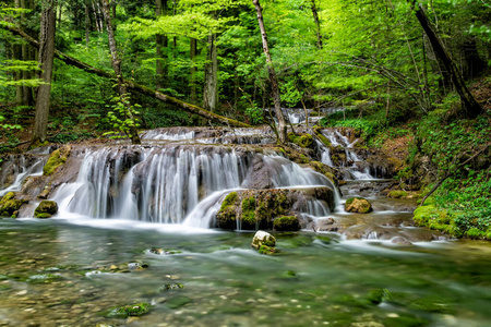 雨林 风景 落下 森林 小溪 春天 岩石 公园 苔藓 旅行