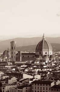 意大利 托斯卡纳 大教堂 意大利语 旅行 城市景观 天际线