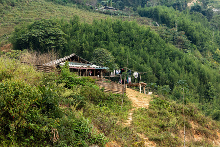 乡村 建筑学 农场 领域 越南 国家 房子 自然 山谷 草地