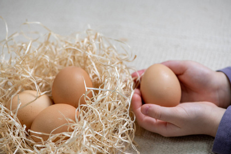 鸡蛋 食物 自然 复活节 蛋白质 特写镜头 烹饪 篮子 稻草