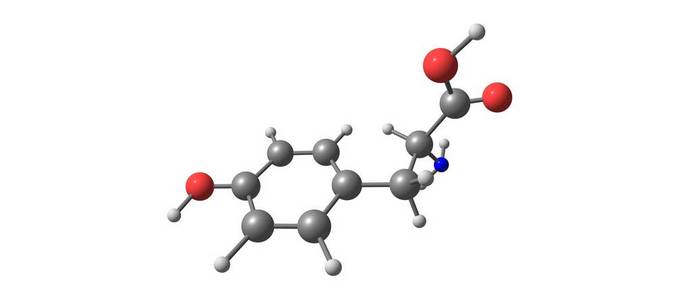 蛋白原 公式 氨基 插图 补充 化学 酪氨酸 三维 泰尔