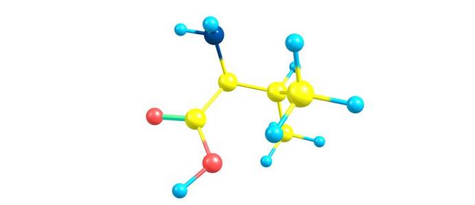 分子 酸的 插图 蛋白原 科学 氧气 复合 教育 氨基 学习