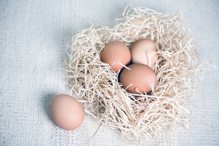 农场 母鸡 鸡蛋 蛋白质 食物 特写镜头 干草 稻草 早餐