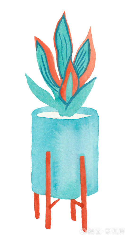 绘画 离开 棕榈 安慰 花盆 房子 插图 植物 花的 夏天