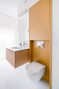 房地产 反射 盆地 新的 浴室 奢侈 房子 别墅 住处 建筑学