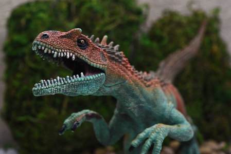 丛林 收集 怪物 骨架 恐龙 古生物学 考古学 权力 爬行动物