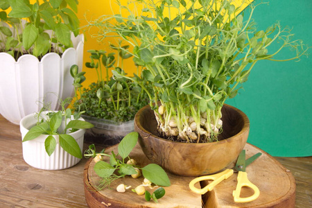 蔬菜 豆类 纤维 自然 产品 补充 植物 味道 花园 健康